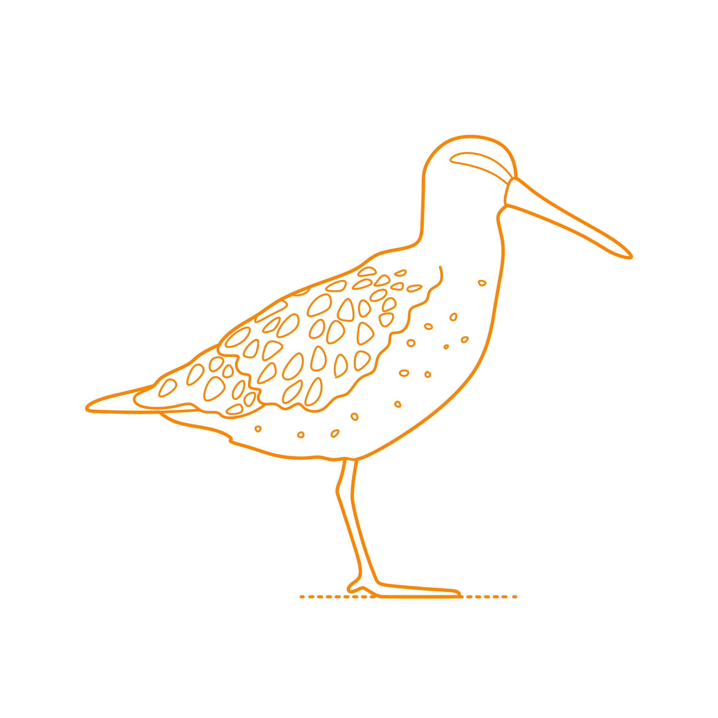 Animals Shorebirds Short Billed Dowitcher Line Art Svg Vector Free Vectors